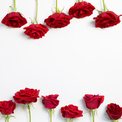 Red rose flowers on white background. flat lay, top view, copy space