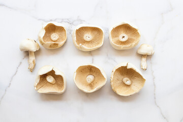 herbal vegetable mushrooms arrangement flat lay style on background white