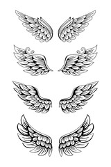 Set of wing illustration