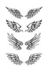 Set of wing illustration