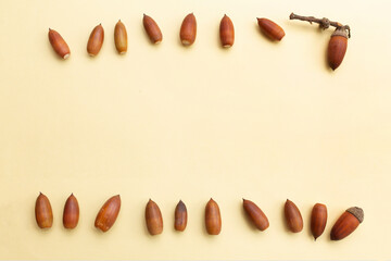 どんぐり,ドングリ,木の実,秋,茶色,自然,拾う,植物,種子,季節,木,黄色,フレーム,