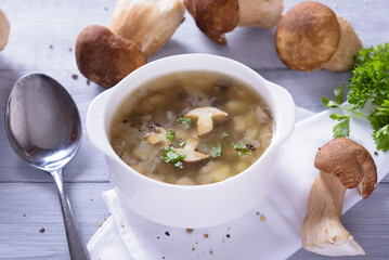 Mushroom soup plate with porcini mushrooms, fresh parsley and pepper on rustic texture background