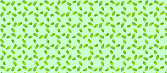 Pattern with mint leaves on the trendy solid green backdrop, ecology concept, Horizontal banner format
