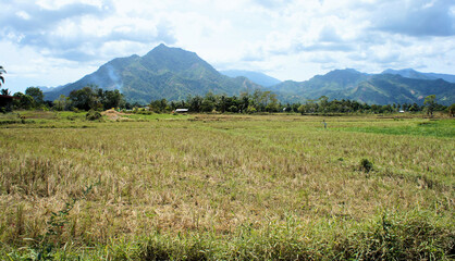 Beautiful tropical landscape. Palawan Island. Philippines.