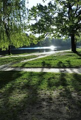 easy walk in a beautiful park near the lake at sunset