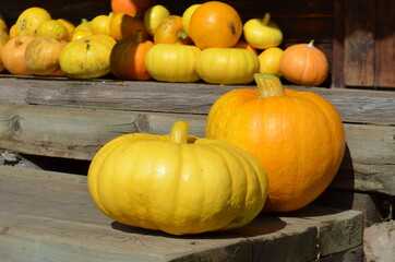 pumpkins on the ground