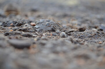 stone on the beach
