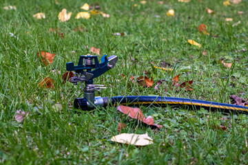 Sprinkler in grass with fallen leaves and hose