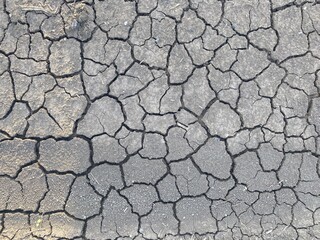 dry cracked soil texture background