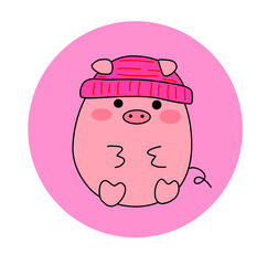 Pig with cozy hat