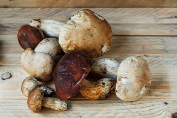 Mushrooms lie on wooden boards. White mushroom. Popular white boletus. Cooking delicious organic mushrooms. Porcini mushrooms close up.