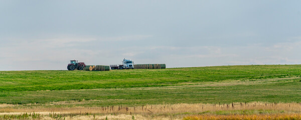 Fototapeta premium Farm tractor in farm field during harvest