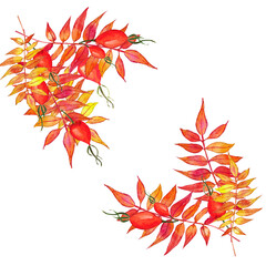 Illustration on white background. Isolated textures. Beautiful autumn nature. Halloween, thanksgiving.