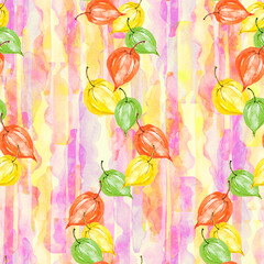 watercolor physalis seamless pattern. autumn berry illustration. botanical background. Seamless pattern with hand drawn watercolor physalis. Autumn pattern. Abstract art background