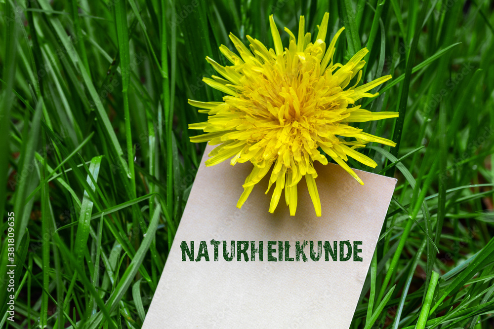 Poster Naturheilkunde