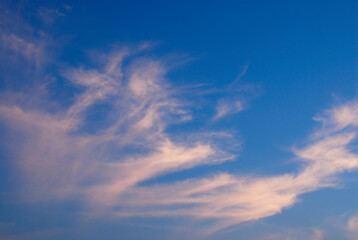 Fototapeta premium 雲