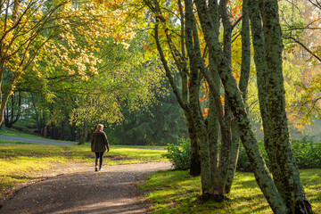 Adult woman walking away alone on path in autumn park