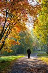 Adult woman walking away alone on path in autumn park