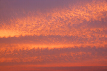夕焼け雲