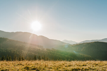 Obraz premium Autumn sun in the mountains. Trees on the edge of a hill in fall colors. The wonderful countryside in the morning. Amazing view on a sunny day with fog and high mountain peaks behind.
