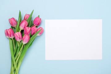 Spring mockup with pink tulips and blank of white paper on blue background. Easter concept. Copy space. Top view