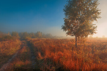Fototapeta na wymiar Beautiful dreamy autumn sunrise landscape. Foggy morning at a scenic golden meadow with dry grass and rural road passing through.
