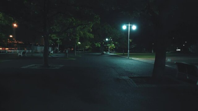 A video of walking in the park at night from a first-person perspective. The concept is dark.