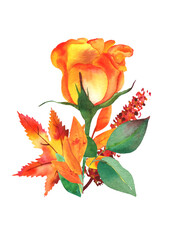 Autumn bouquet, watercolor fall floral arrangement for greeting cards, posters, or wedding invitations, isolated on a white background, a composition with rose and maple leaf