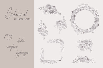Botanical illustrations - vector bouquets and frames with hand-drawn peonies, dahlias, hydrangea flowers.