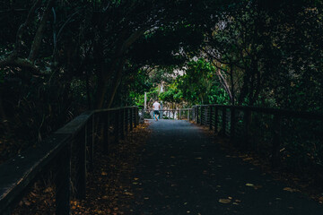 Nort Burleigh hill walk way