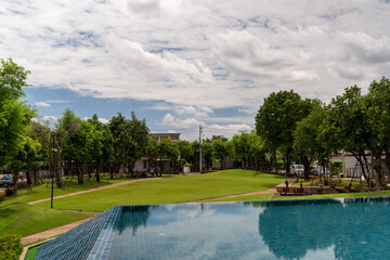 pool in the park