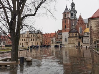 Obraz premium The wawel hill
