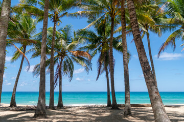 Tropical nature clean beach and white sand in summer with sun light blue sky and bokeh background.