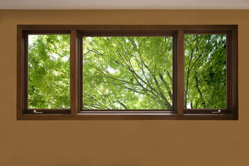 Fototapeta premium 窓からの新緑