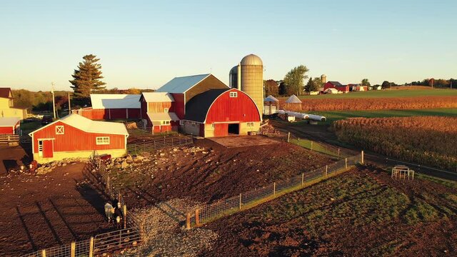 Establishing shot of Midwestern Countryside on a sunny morning, fall season. American rural landscape with Farm house, red barns. 