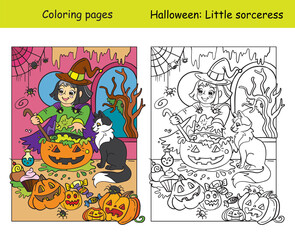 Coloring with colored example witch with cat