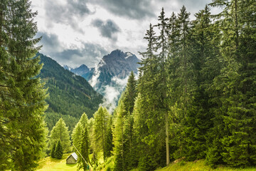 Mountain landscape of Dolomites mountains, Pine forest, dramatic sky, Italy