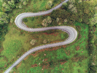 Perfect S shape road on a hill surronded by green fields and trees. Aerial drone top down view.