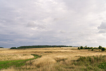 Obraz premium green road among dry grass field in summer