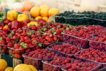 Blueberries, strawberries, raspberries and blackberries are prepared for sale at the farmers '...