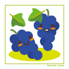 なちゅらるズ　葡萄果実（青）で収穫のご案内