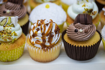 cupcake au chocolat, noix de coco, pistache et autres parfums