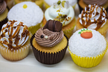 cupcake au chocolat, noix de coco, pistache et autres parfums