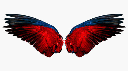 red&blue wings on a white,isolated