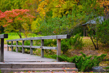 Fototapeta na wymiar wooden bridge in autumn Park