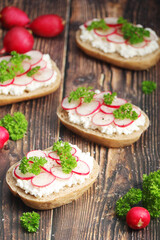 Sandwiches with fresh radishes and cotton cheese