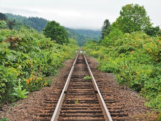 Obraz premium 北海道･北星駅