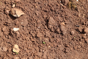 soil in the ground