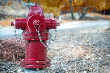 Red Hydrant at road border in the National Park