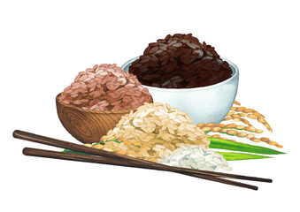 Watercolor composition of various species of rice, bowls, sticks and cereals
